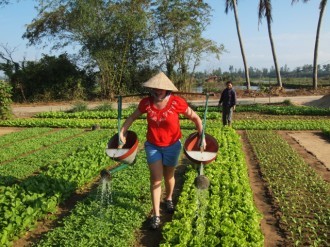 Farming in Vietnam